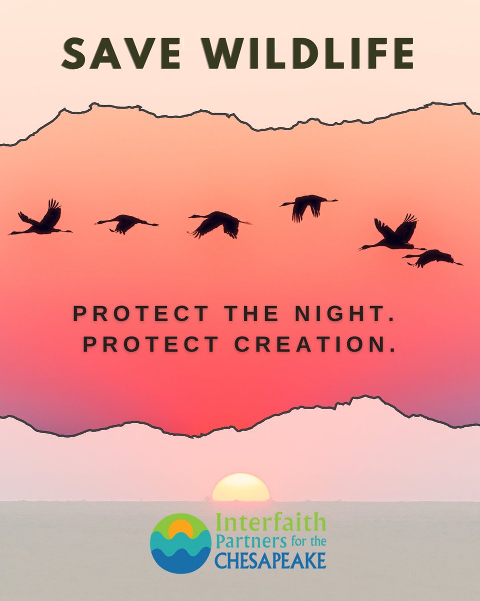 Interfaith Partners tweet media