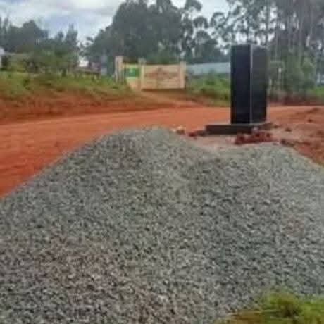 BILL  tweet media