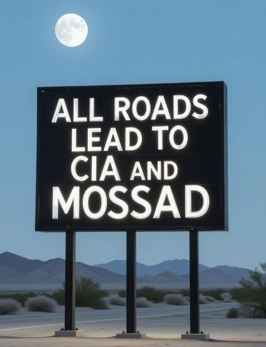 𝐓𝐨𝐧𝐢 🗝 𝐏𝐮𝐫𝐠𝐚𝐭𝐨𝐫𝐢 tweet media