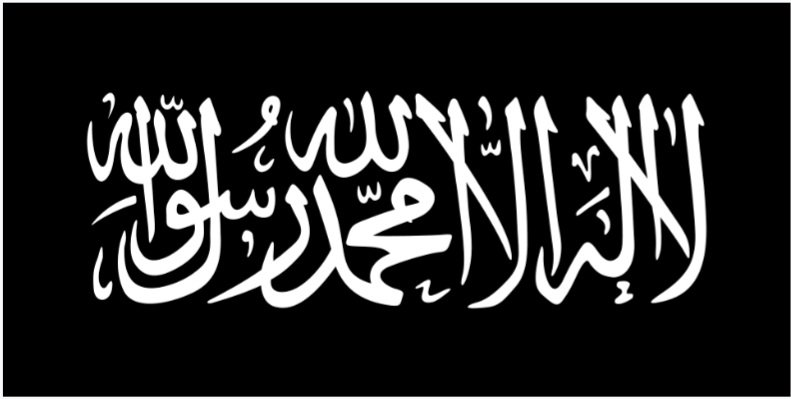 صمرقع tweet media