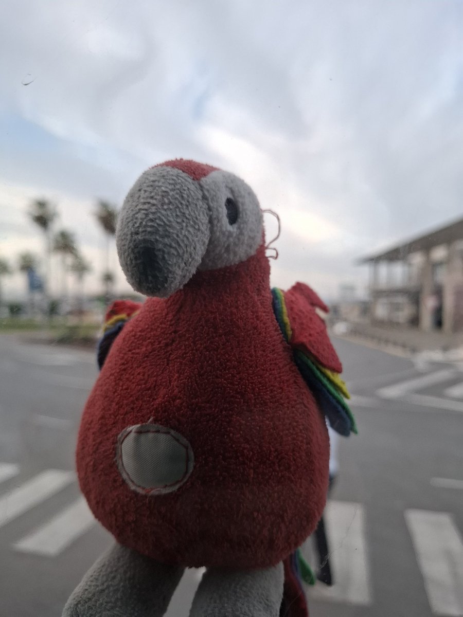 Cartaginense51 tweet media