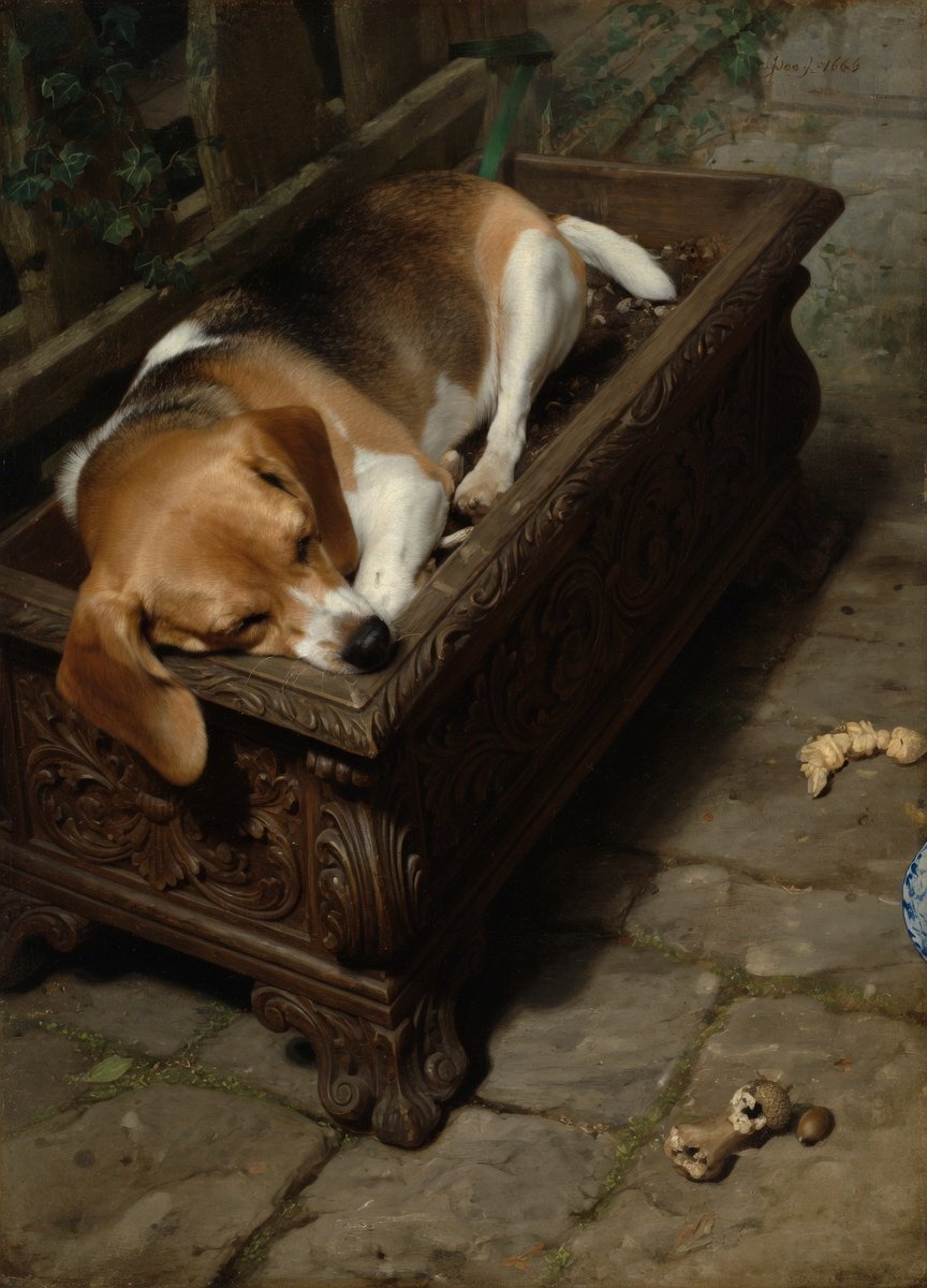I post random beagle pictures in the comments, with no explanation ...