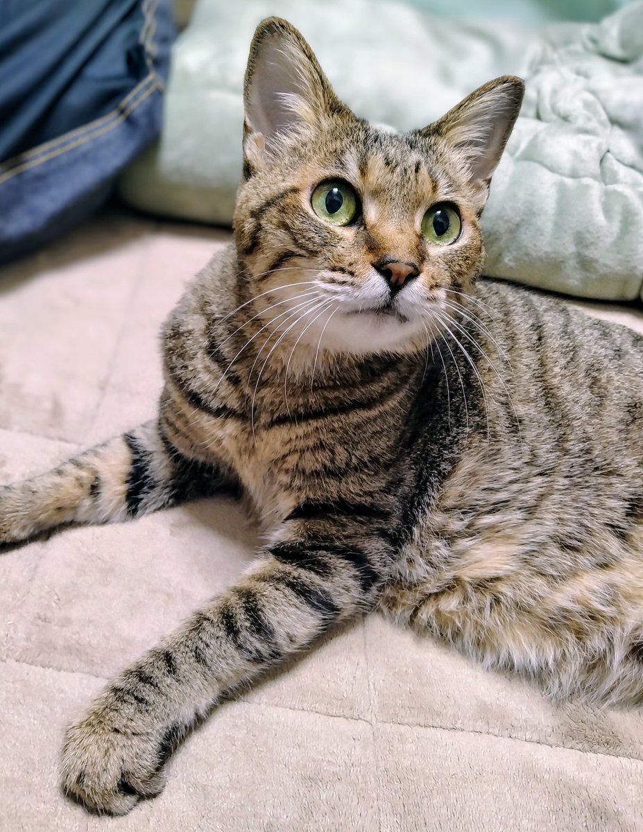 たらかの╰ᘏᗢꕤ୭* tweet media