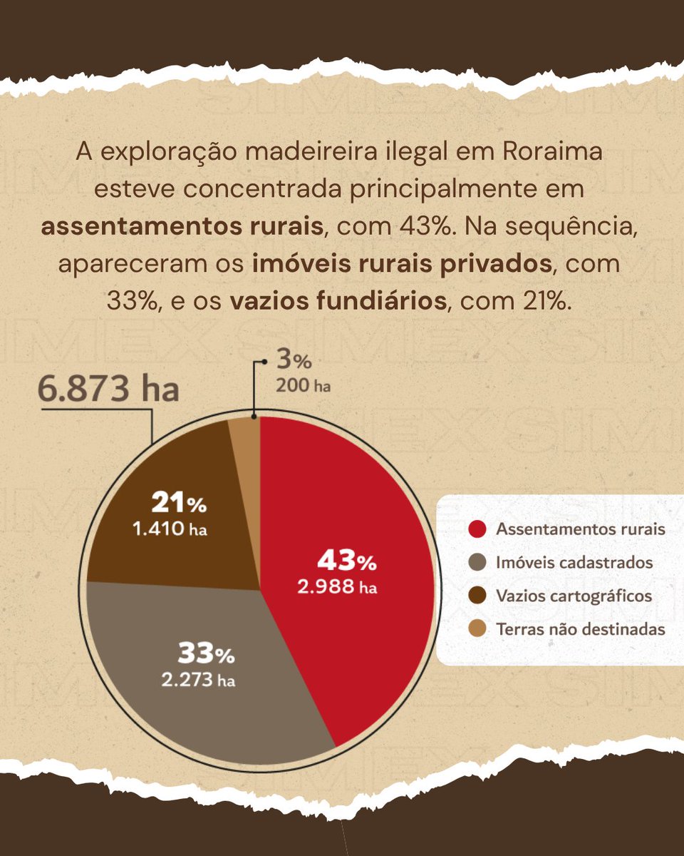 Imazon tweet media