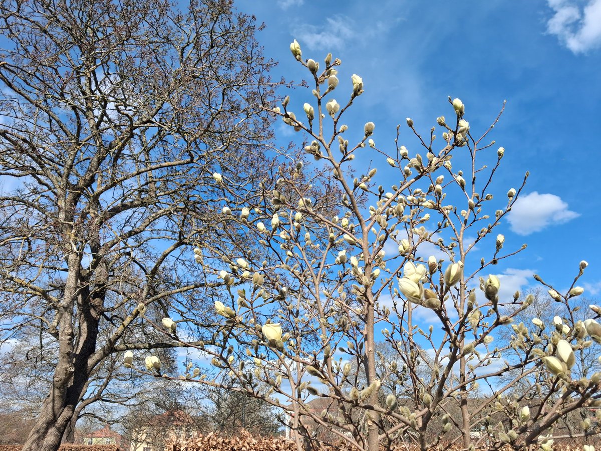 ハル🇸🇪Kindle 出版📚マインドフルな毎日をスウェーデンよりお届け tweet media