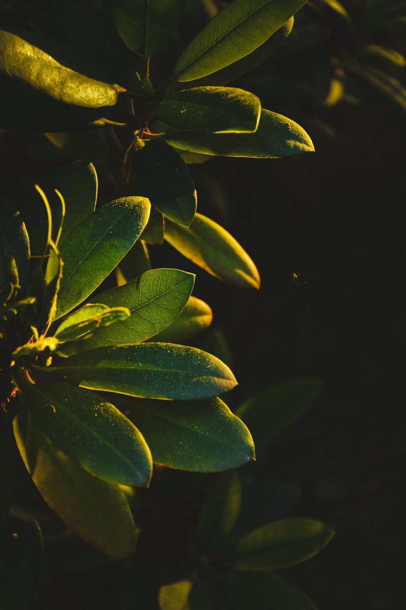 milenawhuj tweet media