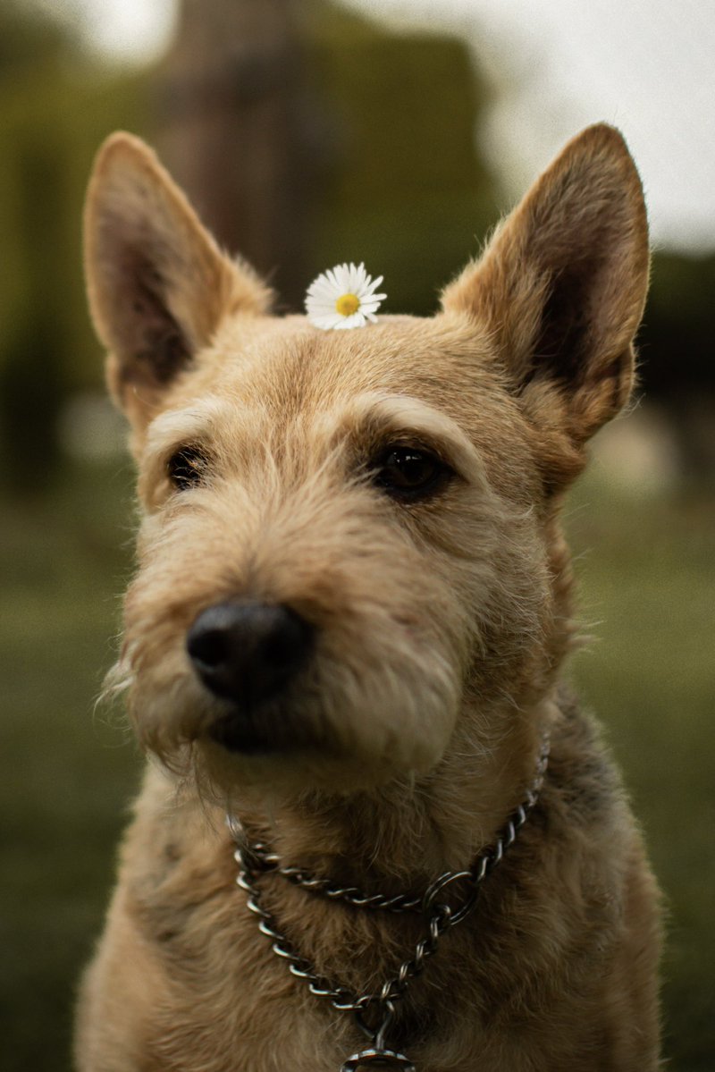 milenawhuj tweet media