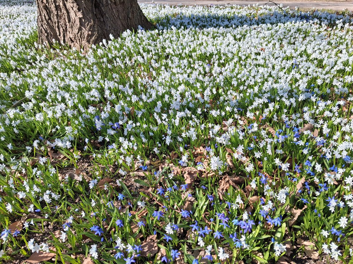 ハル🇸🇪Kindle 出版📚マインドフルな毎日をスウェーデンよりお届け tweet media