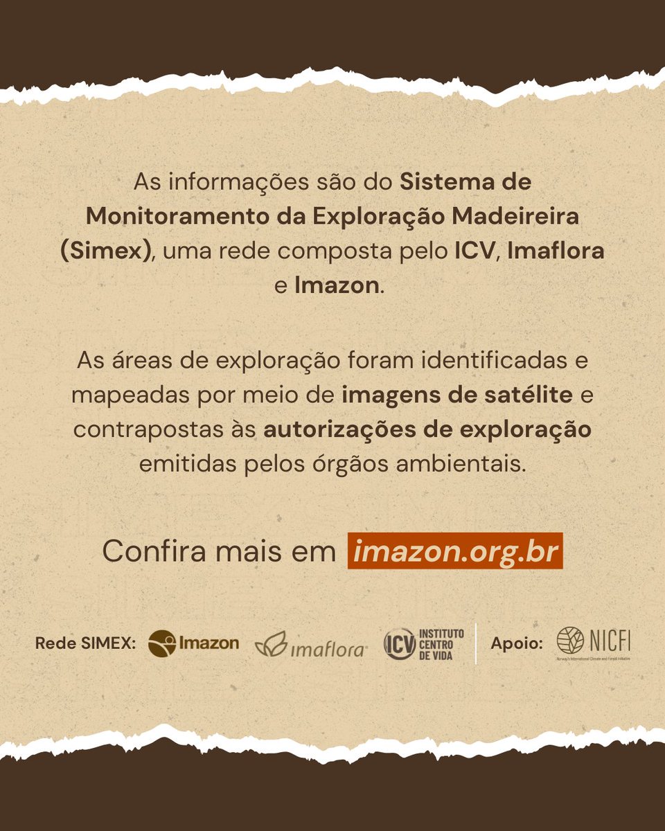 Imazon tweet media