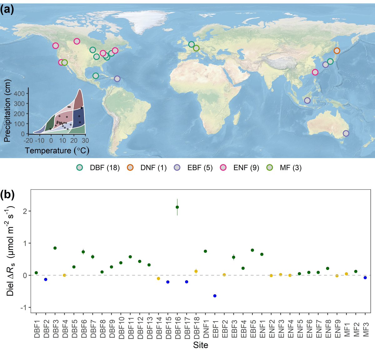 GlobalChangeBio's tweet photo. Widespread Higher Soil Respiration Rates at Nighttime Than Daytime Across Global Forest Ecosystems 

🔗 https://t.co/aW5r9UIrrp https://t.co/4mTbWn6Ddj
