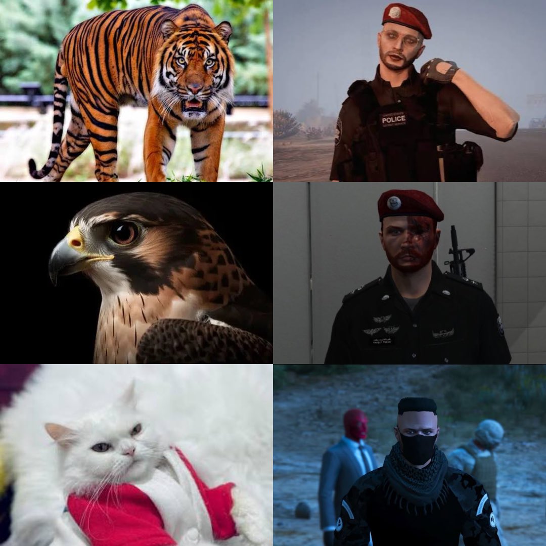 DRAGON_RT tweet media