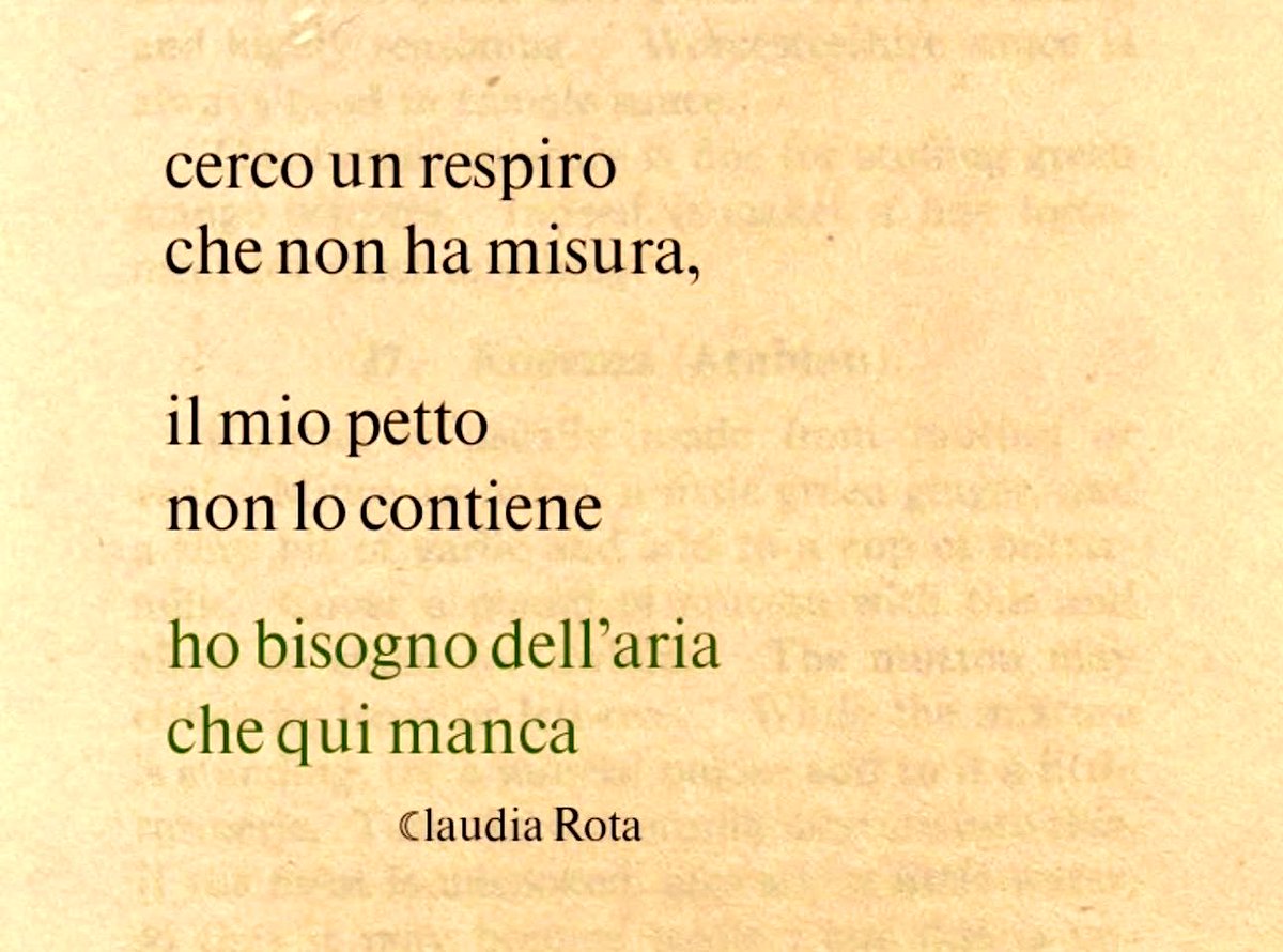 🦋CARRY tweet media