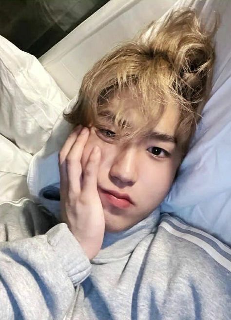 Lor 🍮 tweet media