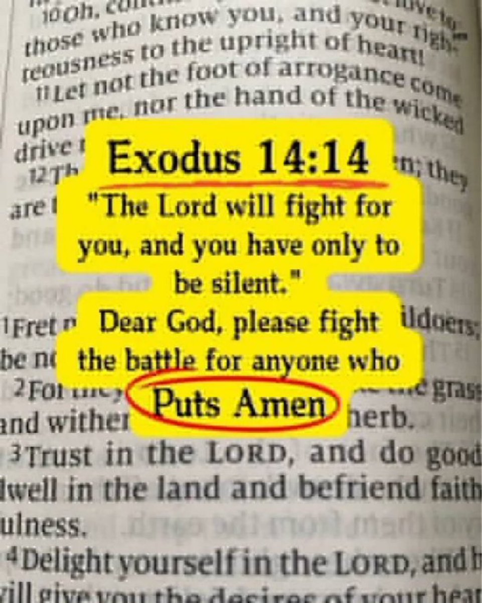 Bible 365 tweet media