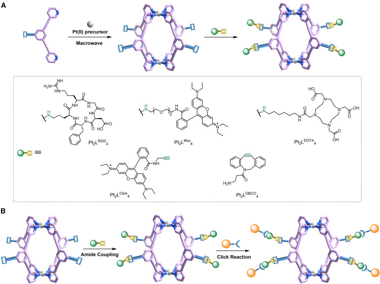 Online now: Expanding the territory to post-assembly modification of metallacages dlvr.it/TS4T2Q