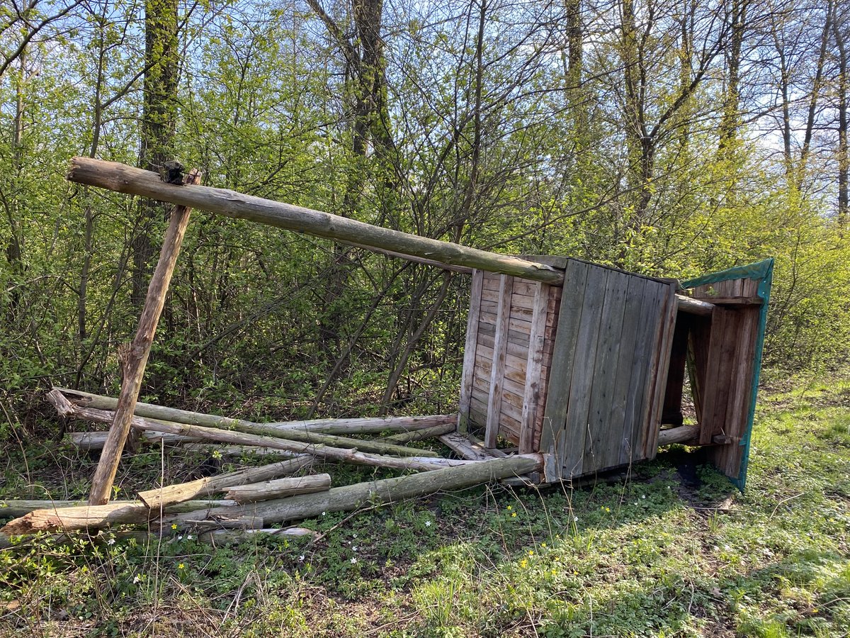 Niech Żyją! tweet media
