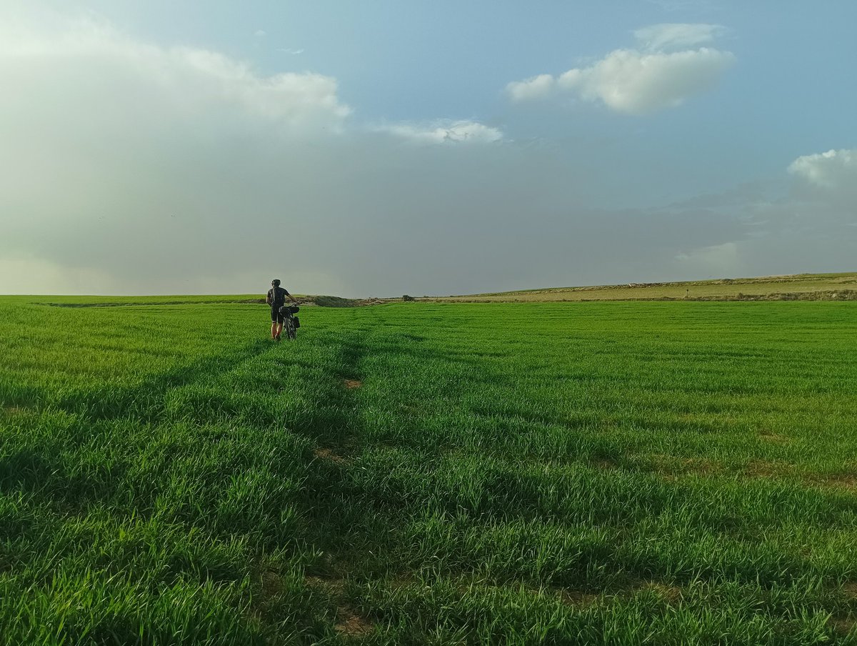 adventicia 🍃 tweet media