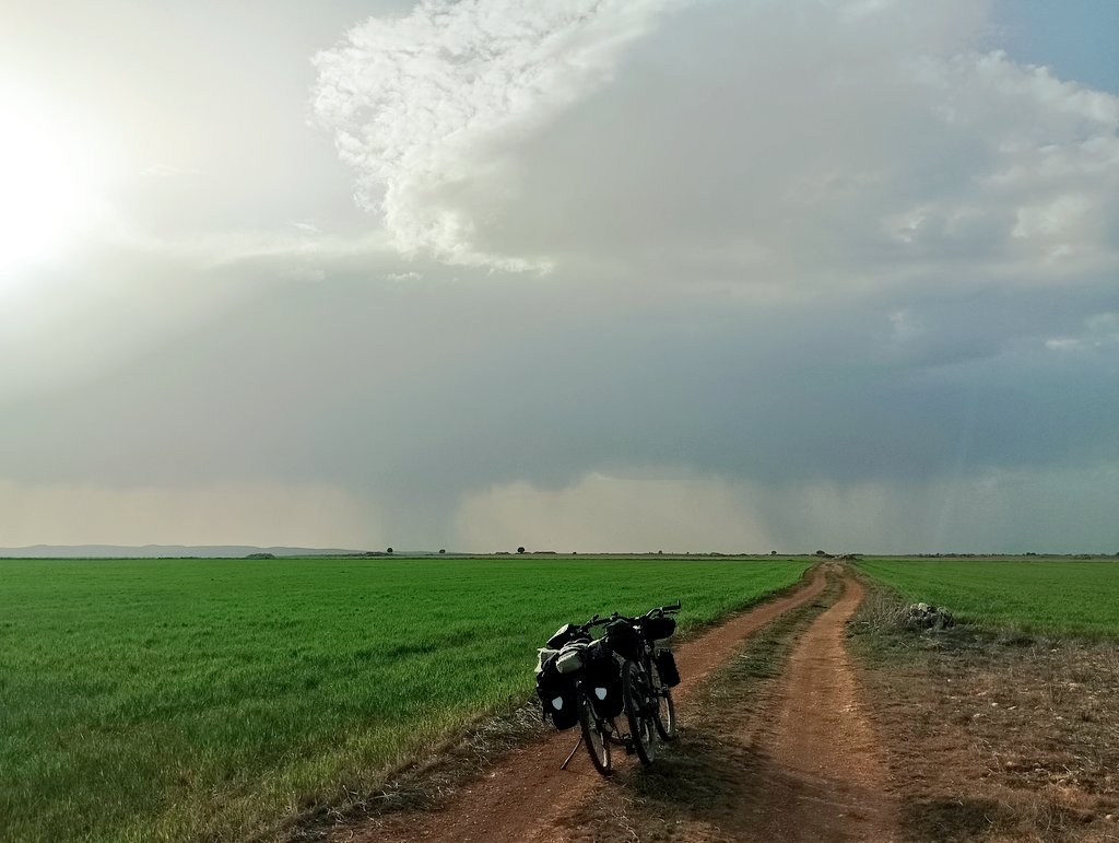 adventicia 🍃 tweet media