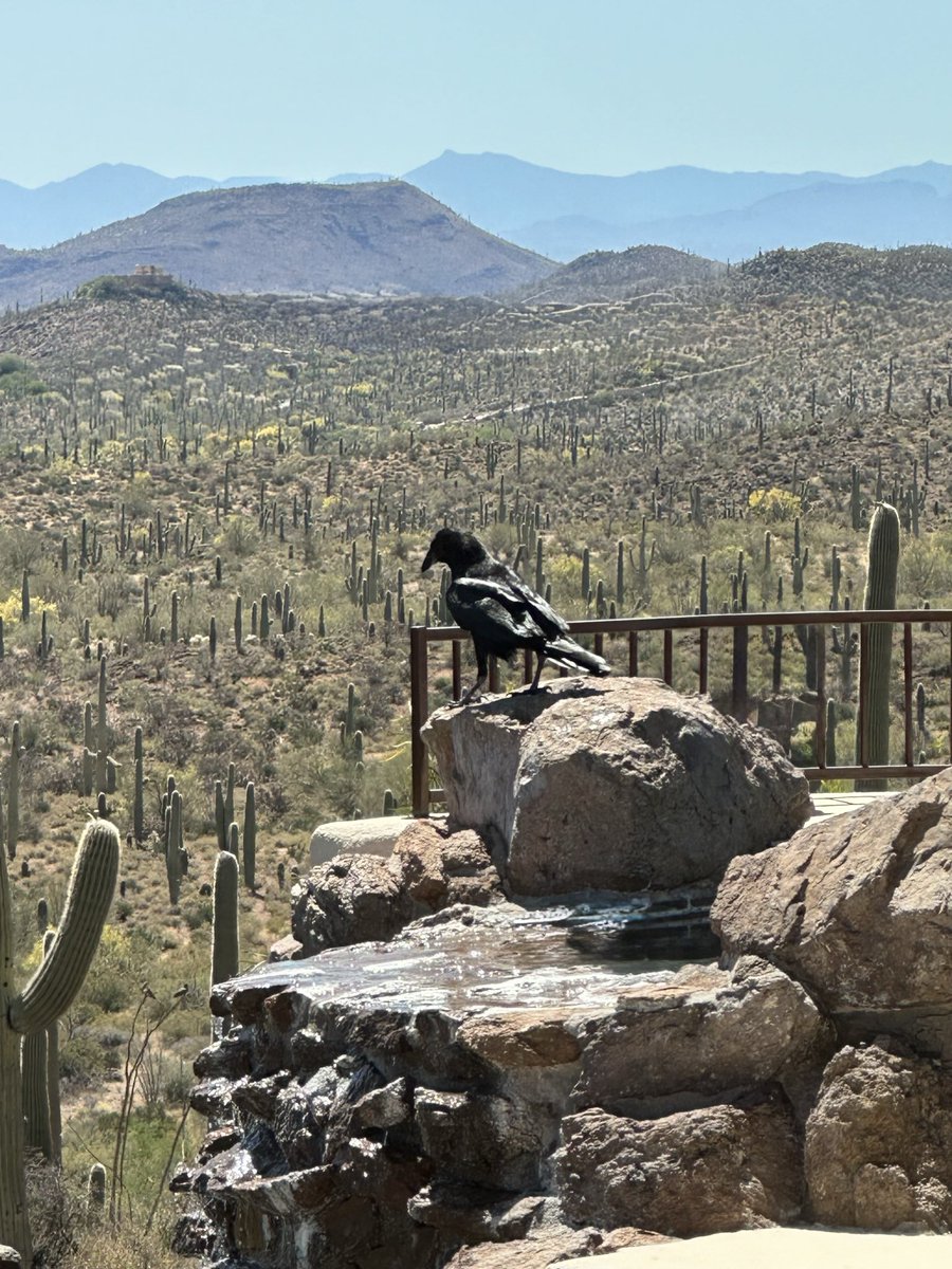 WhatYoSaid tweet media