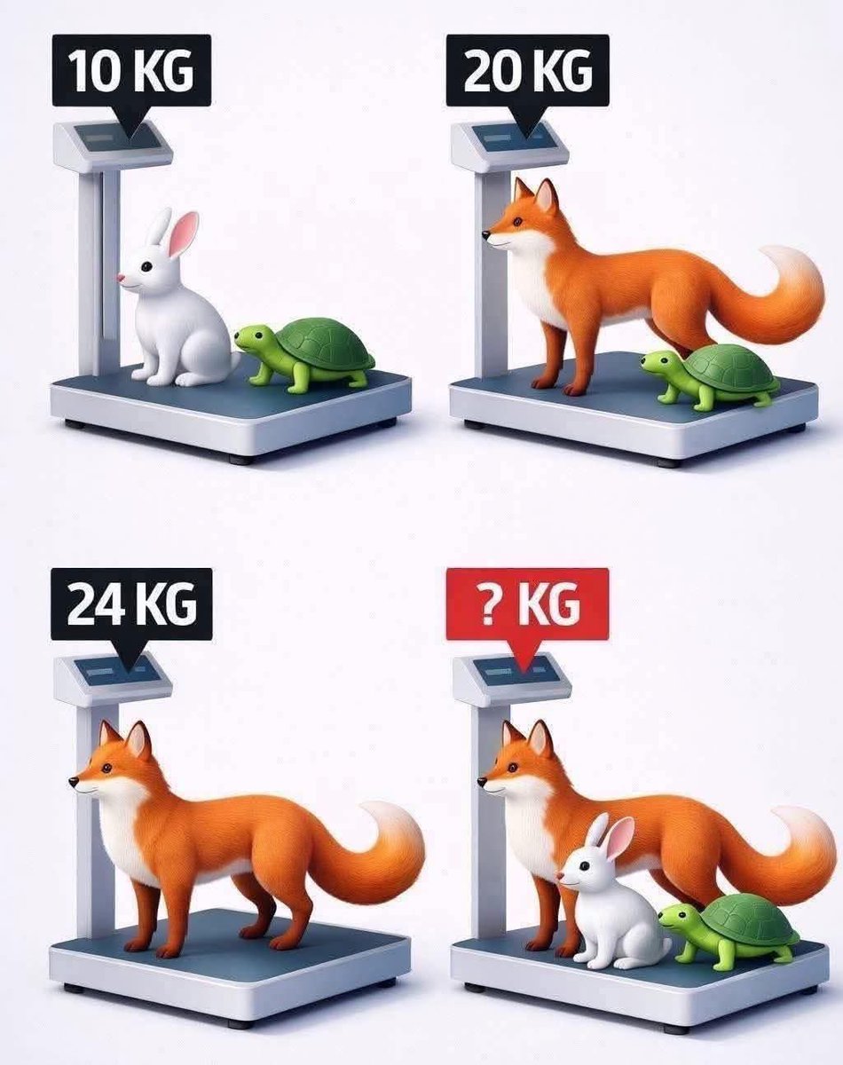 𝓓𝓾𝓭𝓪 tweet media