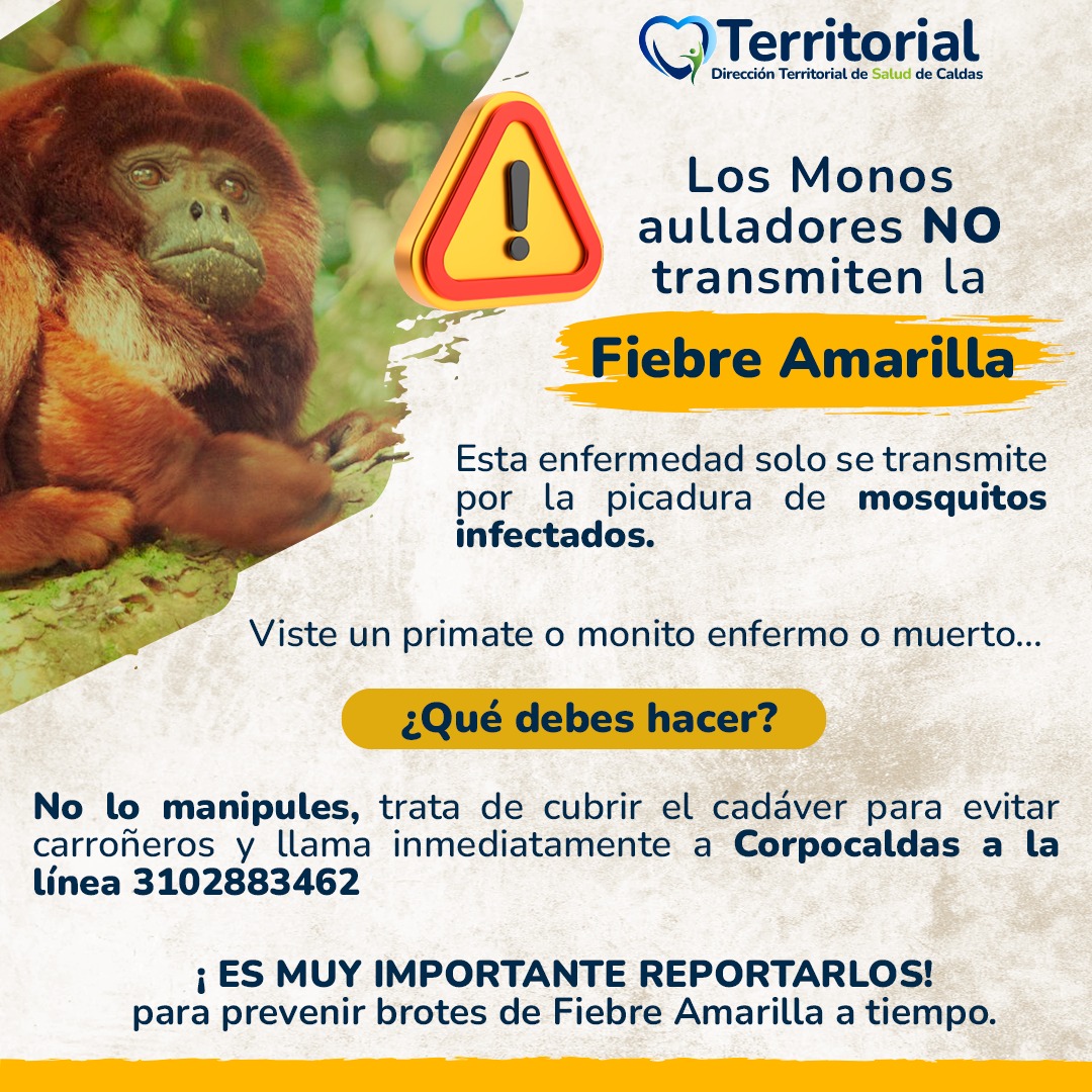 Territorial de Salud de Caldas tweet media