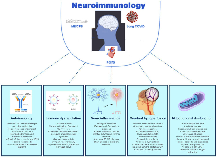 Why we STILL have no FDA-approved therapies for #POTS and #dysautonomia:

❓ Where did we go wrong???

Here is MY take on WHY:
🧠 Labeling it as "complex, multi-systemic, multi-factorial." All true, but in reality -- it creates ambiguity, lack of focus, broad range of phenotypes