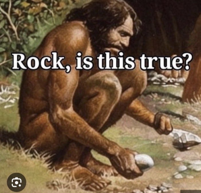 cryptokat tweet media