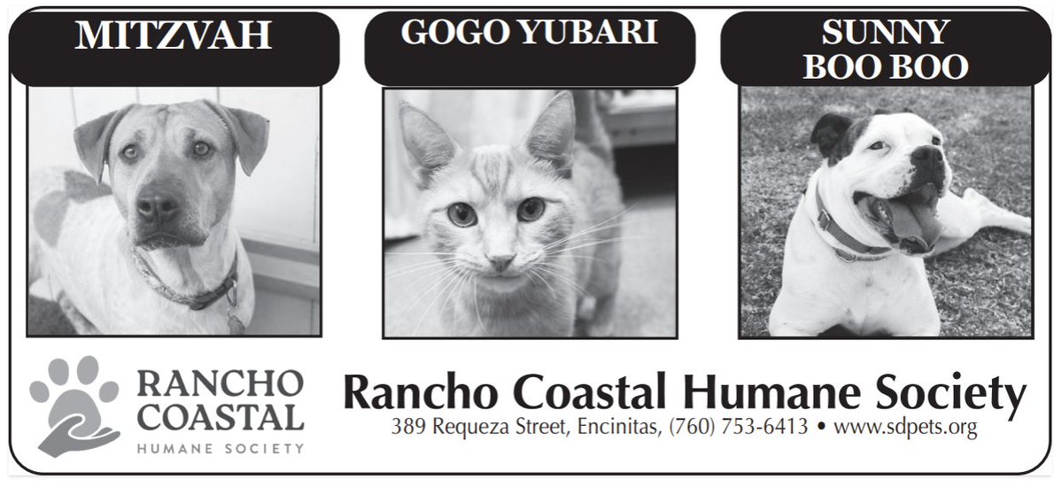 John Van Zante tweet media