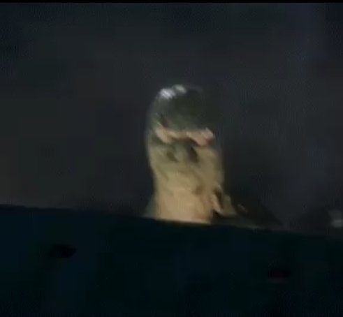 KMS BISMARCK tweet media