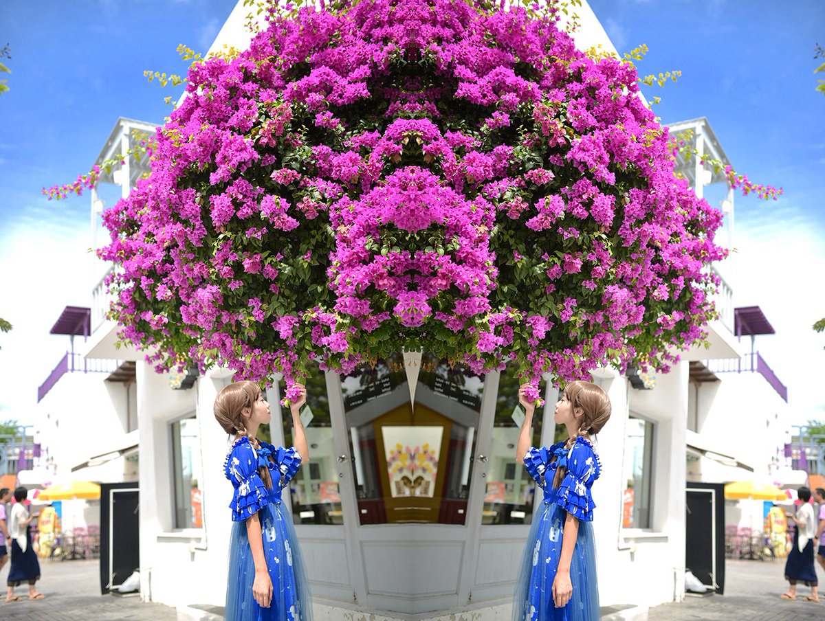 Ashwini Ojha tweet media