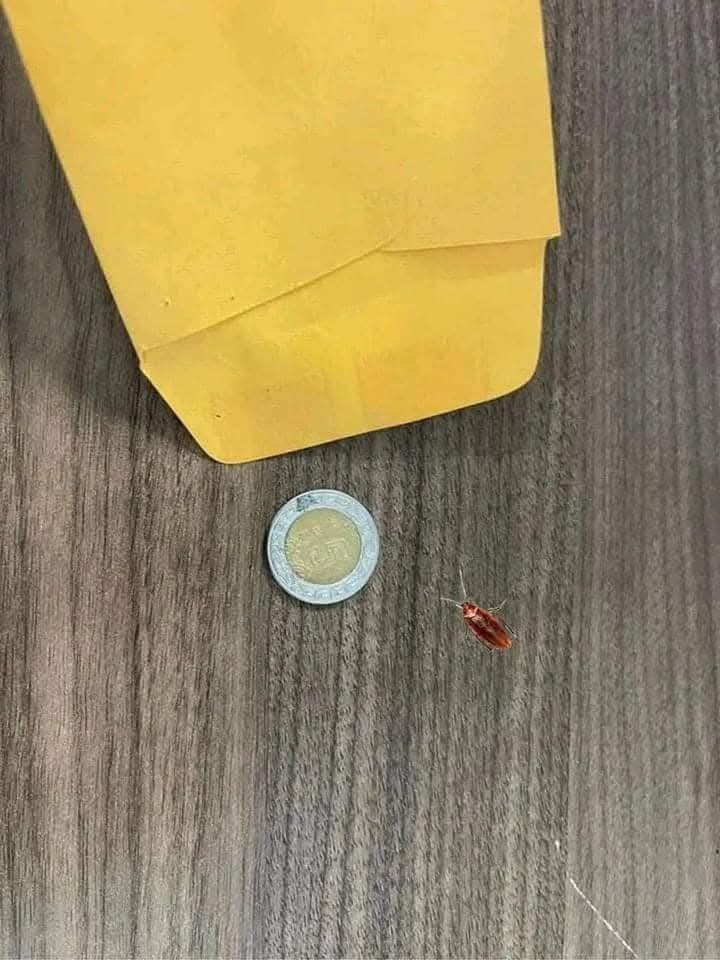En_jupiter_'s tweet photo. Yo: Seguro que me llegará muy bien de utilidades 
Las utilidades: https://t.co/0cd28pItbz