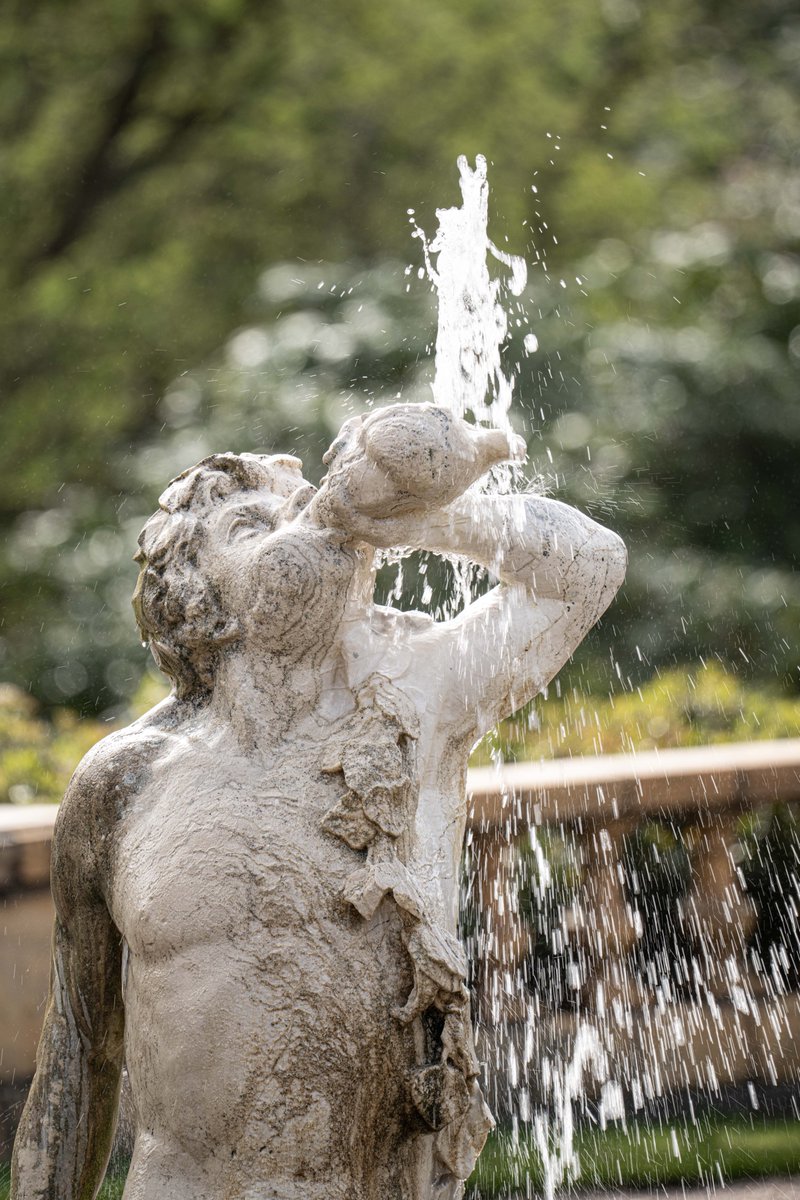 KevBruen's tweet image. Slow water @tatton_park this morning. And a plant.
#nikonz9 
#nikkorz100400