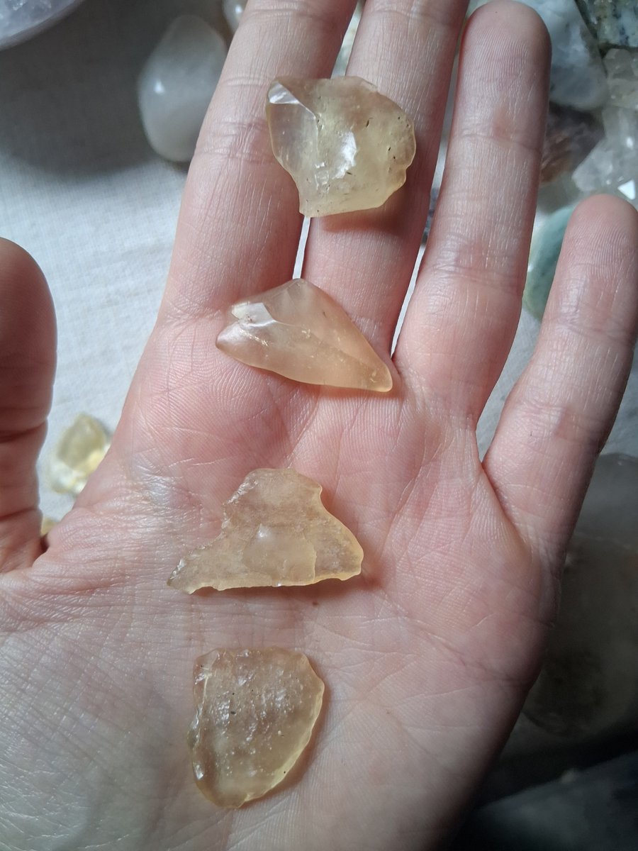 Earth Origin Studio tweet media