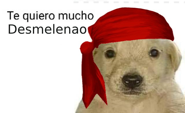 andrea ۞ tweet media