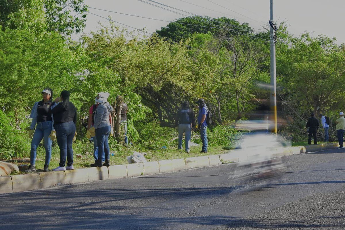 AlcaldiaVpar's tweet photo. Con labores de aseo, retiro de residuos y adecuación del entorno, el Escuadrón de Limpieza del gobierno del alcalde Ernesto Orozco intervino la acequia Las Mercedes, a la altura del sector de El Terminalito, mejorando las condiciones ambientales y sanitarias de la zona. https://t.co/E7yeKDVlOP