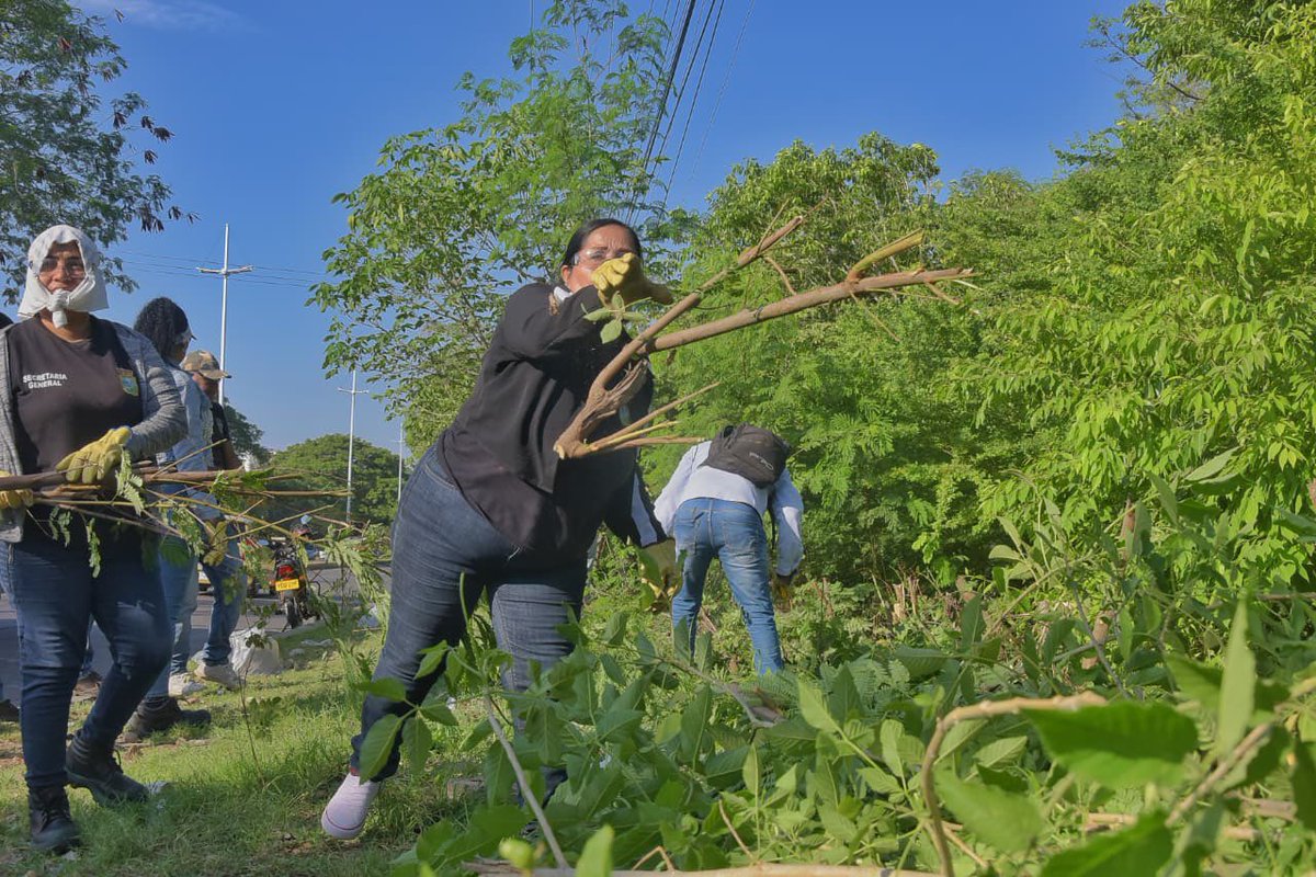 AlcaldiaVpar's tweet photo. Con labores de aseo, retiro de residuos y adecuación del entorno, el Escuadrón de Limpieza del gobierno del alcalde Ernesto Orozco intervino la acequia Las Mercedes, a la altura del sector de El Terminalito, mejorando las condiciones ambientales y sanitarias de la zona. https://t.co/E7yeKDVlOP