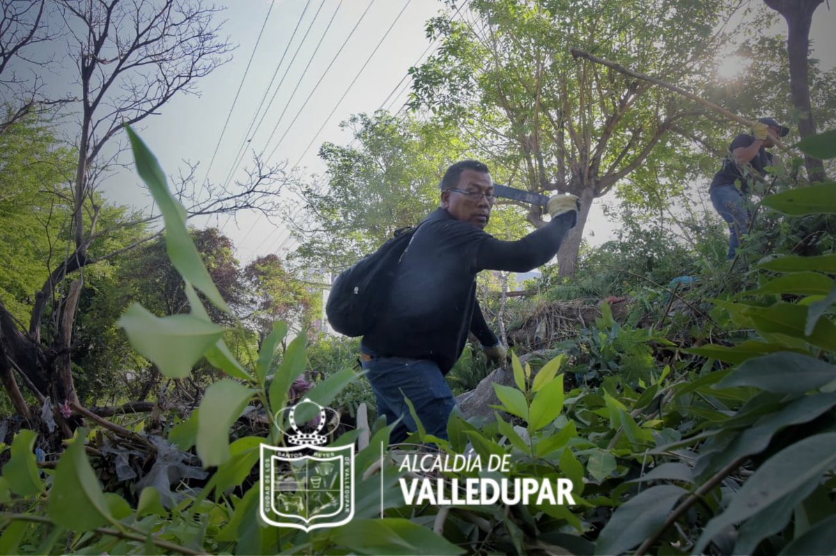 AlcaldiaVpar's tweet photo. Con labores de aseo, retiro de residuos y adecuación del entorno, el Escuadrón de Limpieza del gobierno del alcalde Ernesto Orozco intervino la acequia Las Mercedes, a la altura del sector de El Terminalito, mejorando las condiciones ambientales y sanitarias de la zona. https://t.co/E7yeKDVlOP