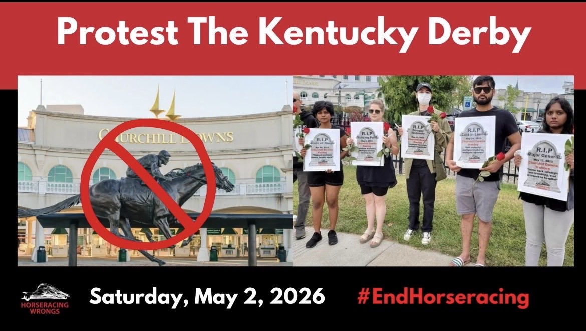 🐴Join #HorseracingWrongs May 2nd from 4–7 PM for a powerful, peaceful ...