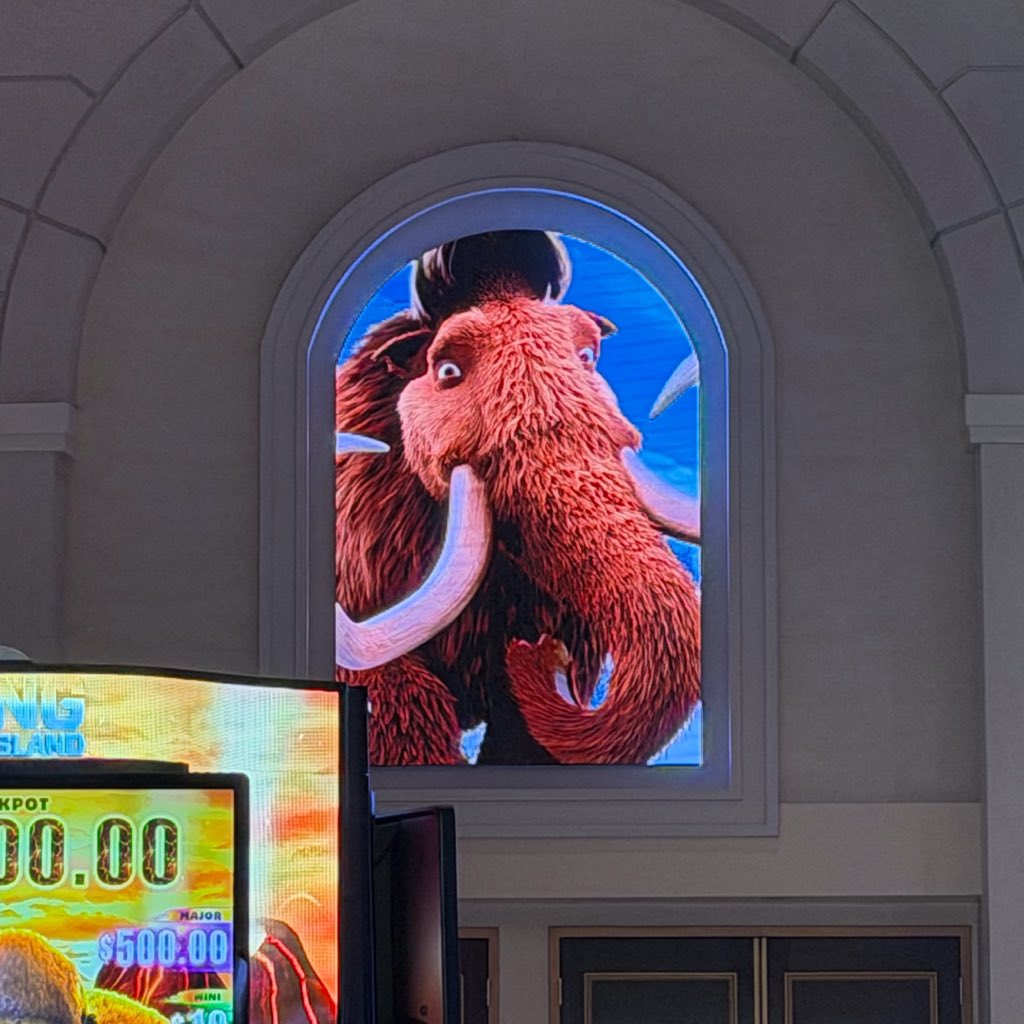 ToonHive tweet media