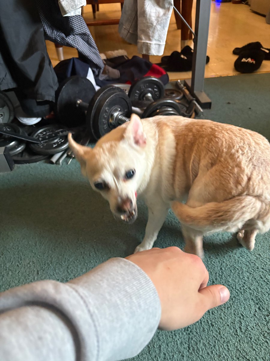 「 𝘵𝘢𝘵𝘦𝘳𝘴 」 @ Home tweet media