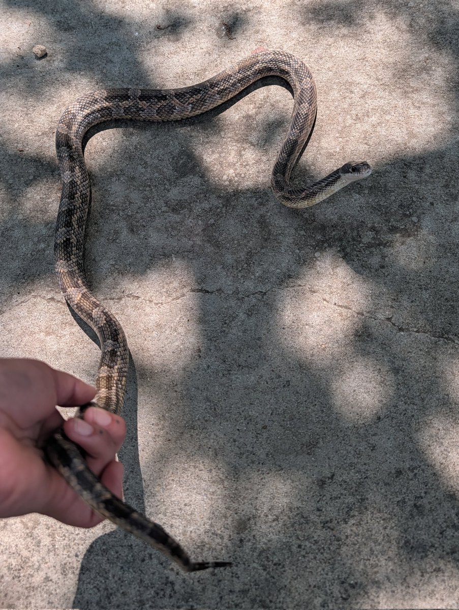 gabriela 📚 tweet media