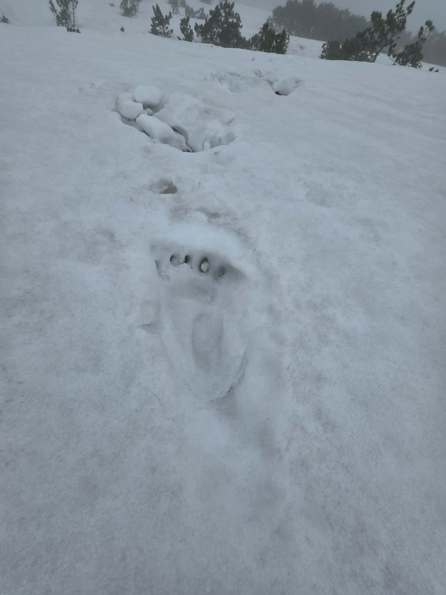meteoprognoza.pl🇵🇱 tweet media