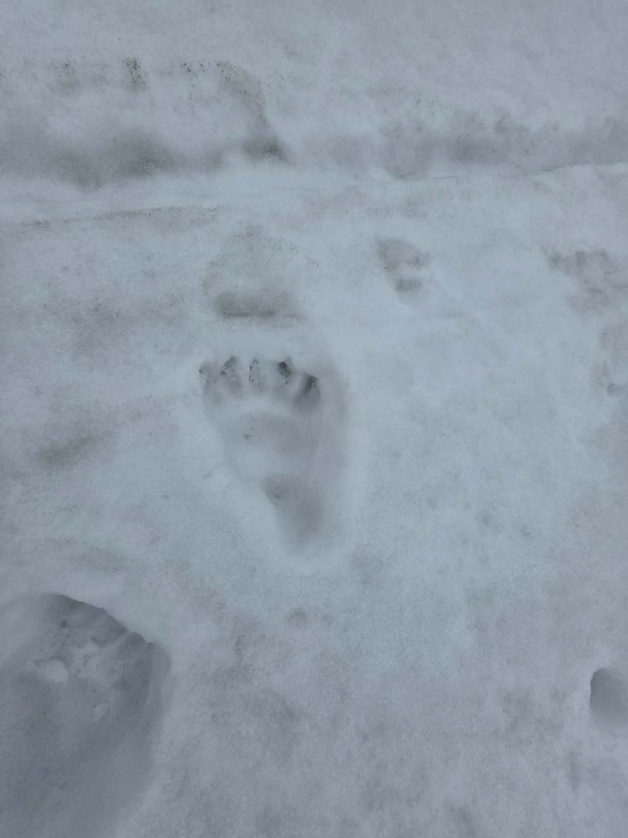 meteoprognoza.pl🇵🇱 tweet media