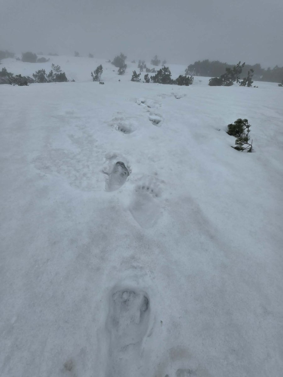 meteoprognoza.pl🇵🇱 tweet media
