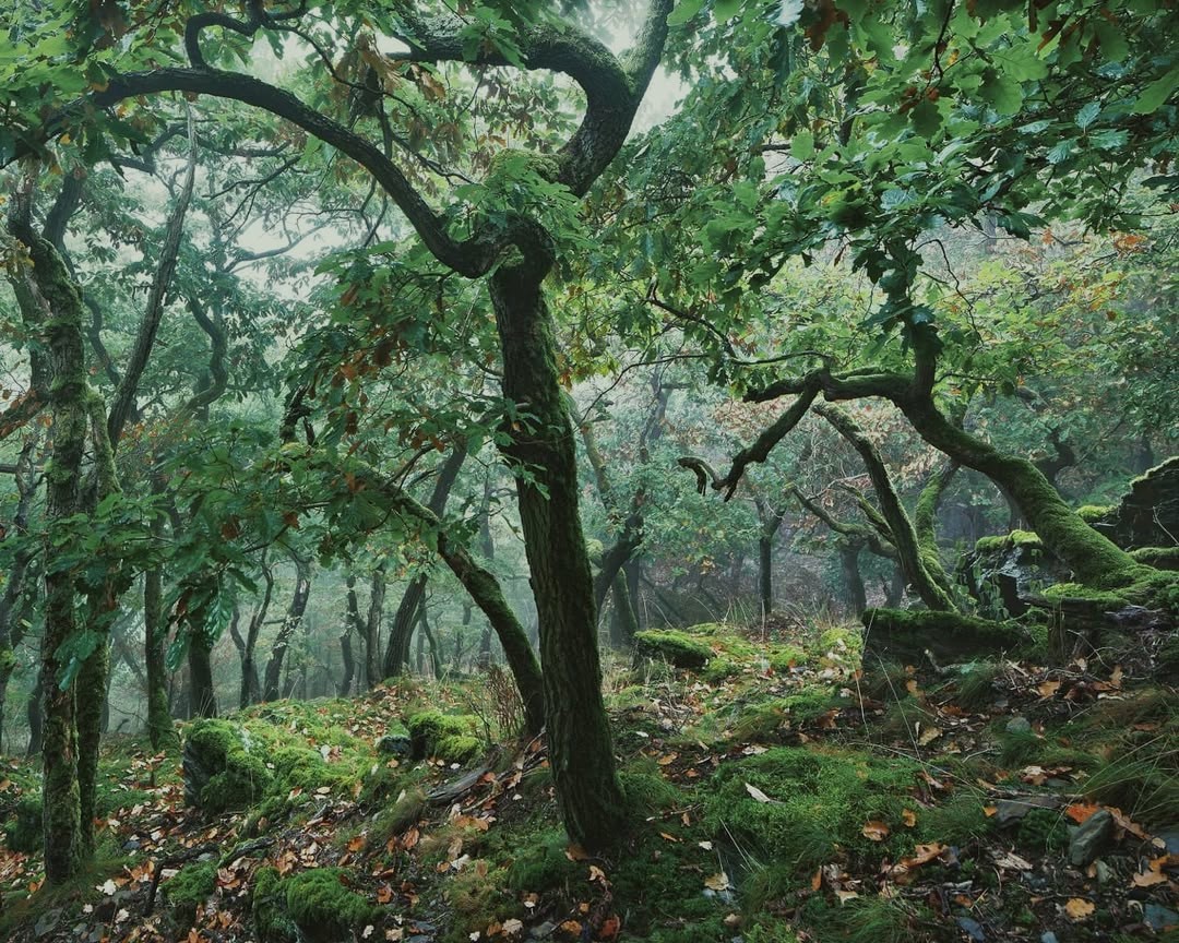 My emotions are gentle and unhurried.