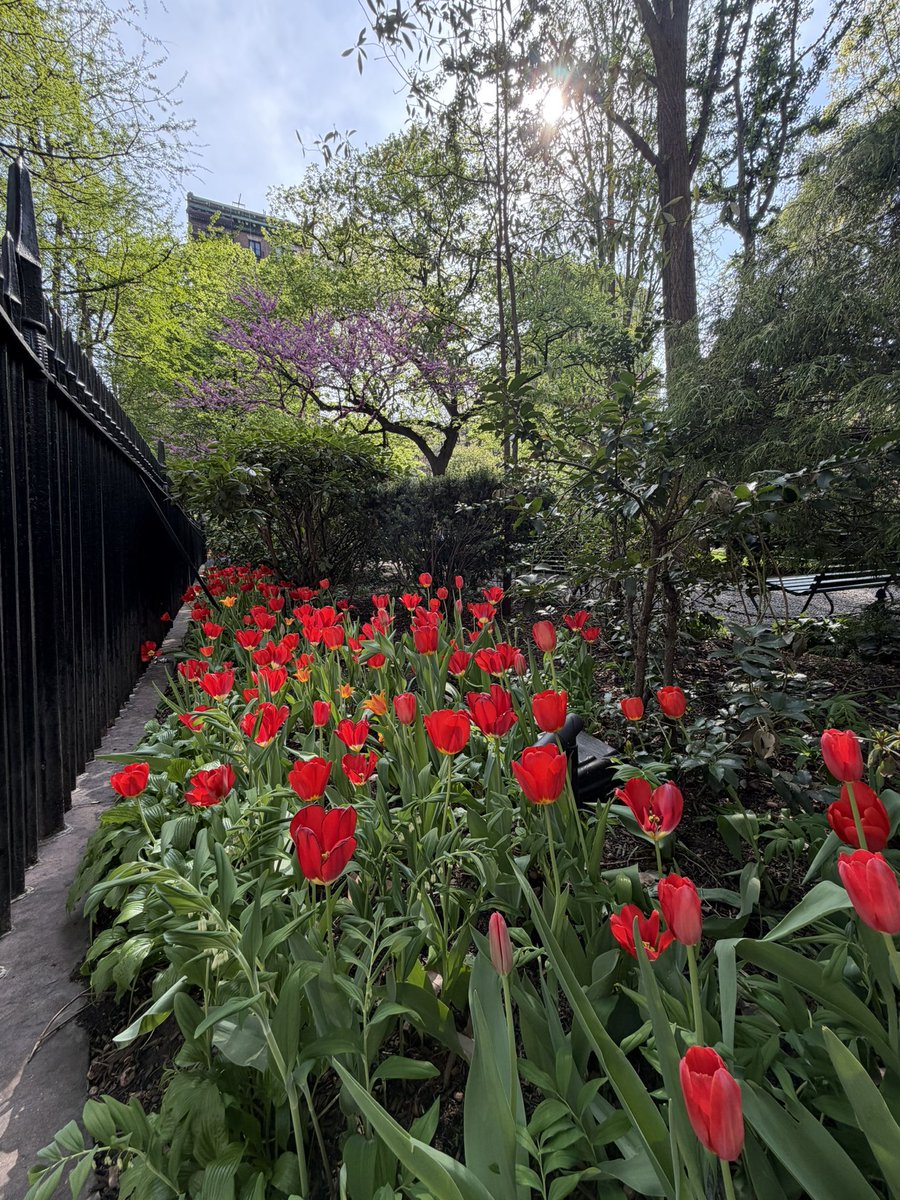 CapeFloy's tweet image. We я not responsible 
And, no, because you’d have to pay her and she has no idea what’s her worth while suggesting I have no idea who Floy Bossisass who got pants tad too snug and then ate  2 cookies. 
#claims #malpractice