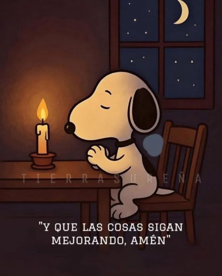 Max 🇦🇷 tweet media