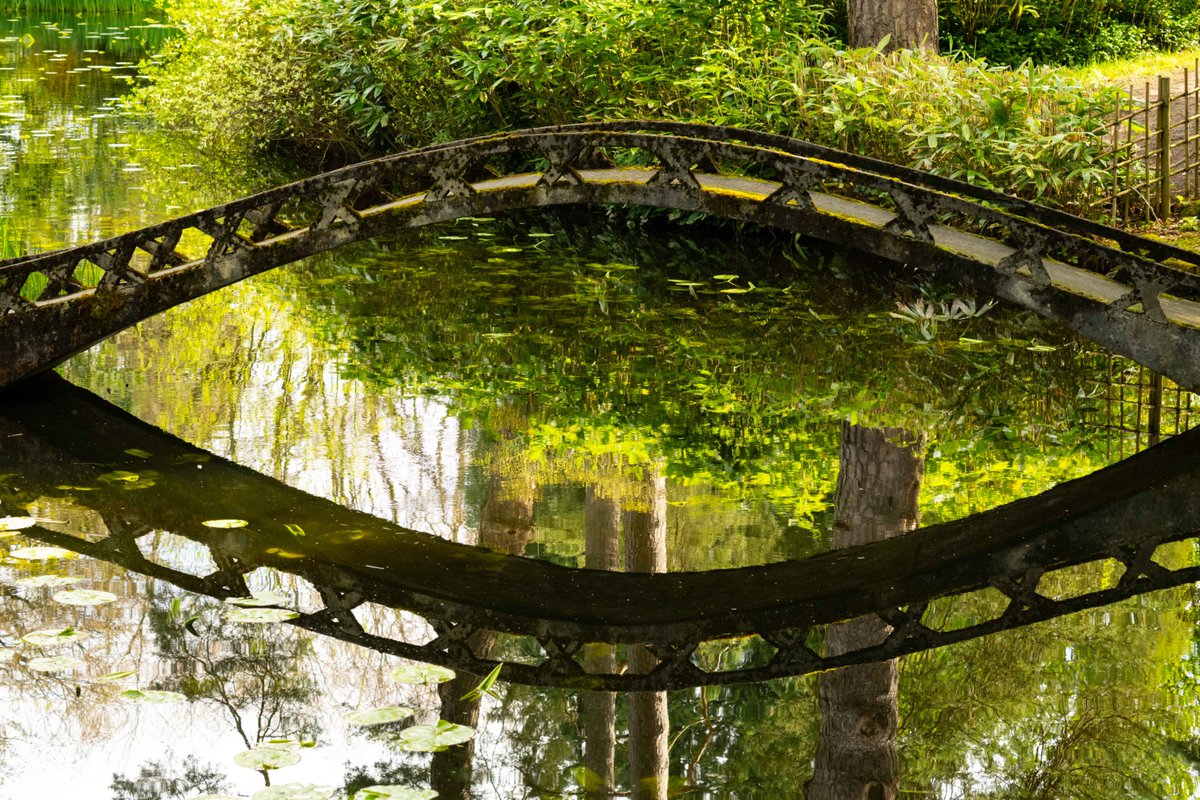 KevBruen's tweet image. Here's a selection of bridges from @tatton_park this morning. 
#nikonz9 
#nikkorz100400