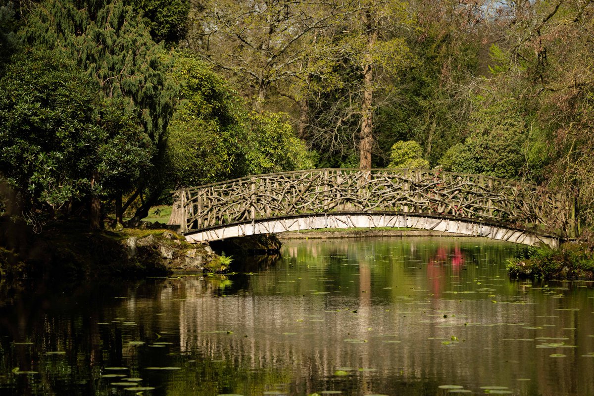 KevBruen's tweet image. Here's a selection of bridges from @tatton_park this morning. 
#nikonz9 
#nikkorz100400