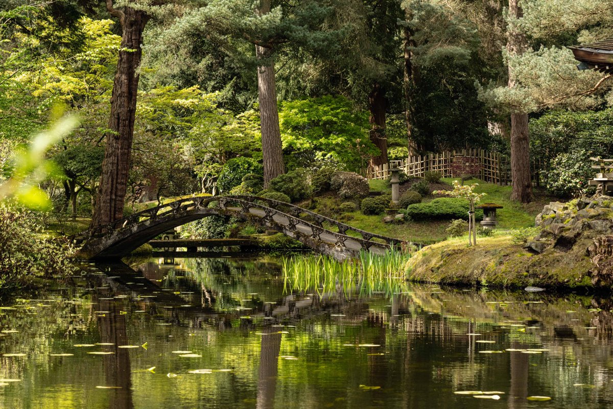 KevBruen's tweet image. Here's a selection of bridges from @tatton_park this morning. 
#nikonz9 
#nikkorz100400